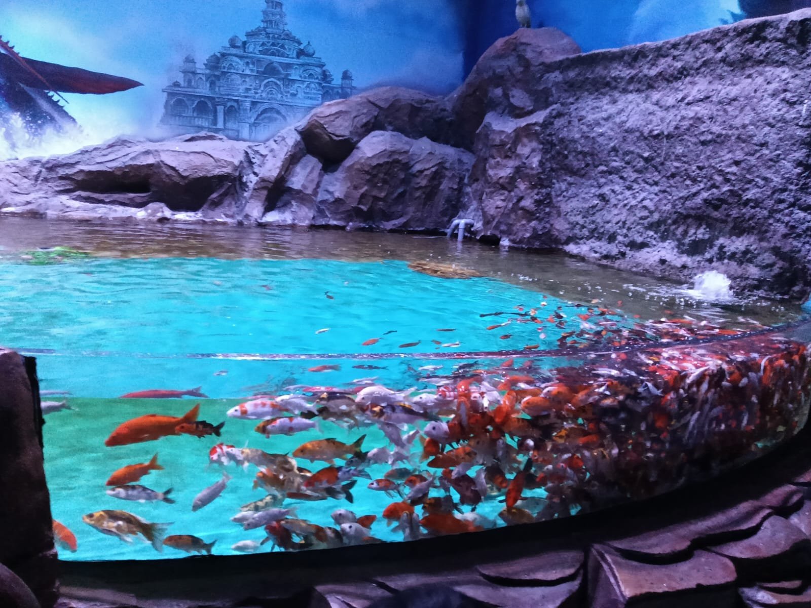 Children's Day Picnic - Image 40