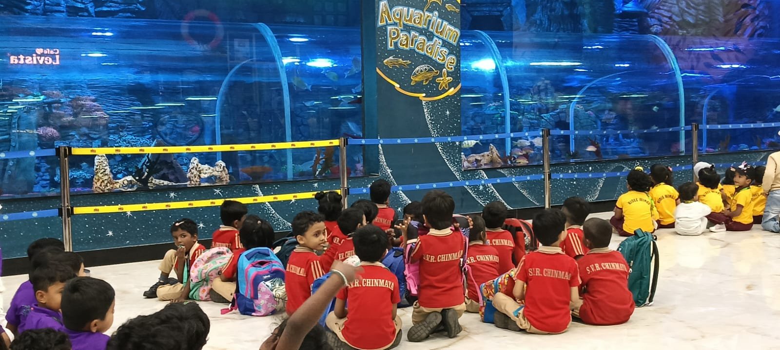 Children's Day Picnic - Image 41