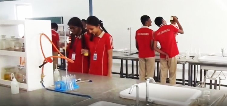 Labs
