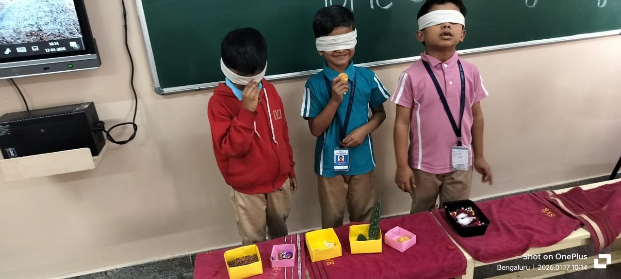 Sensory Play Activity