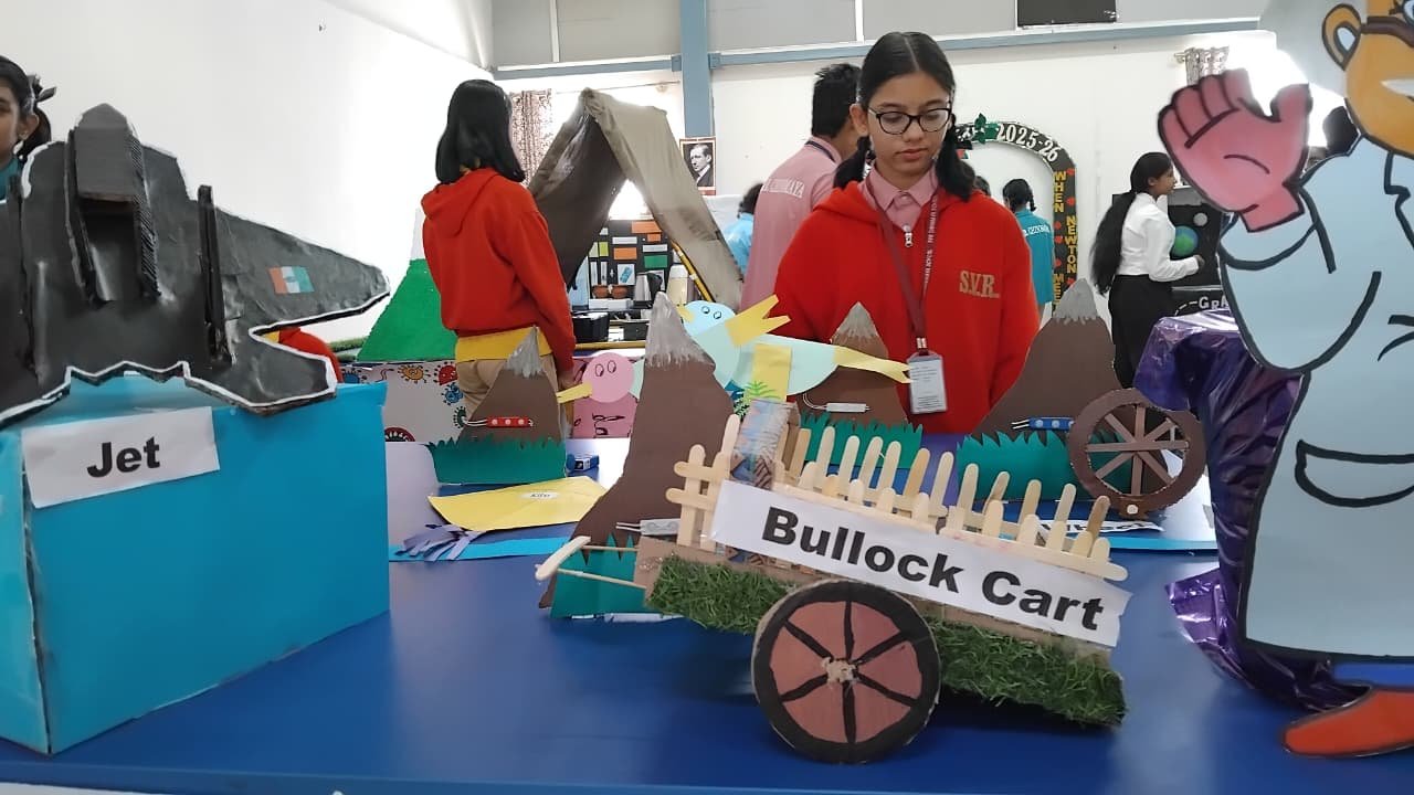 Science Fair Activity