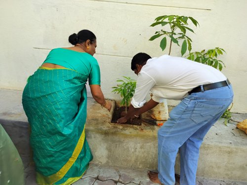 Environmental Day